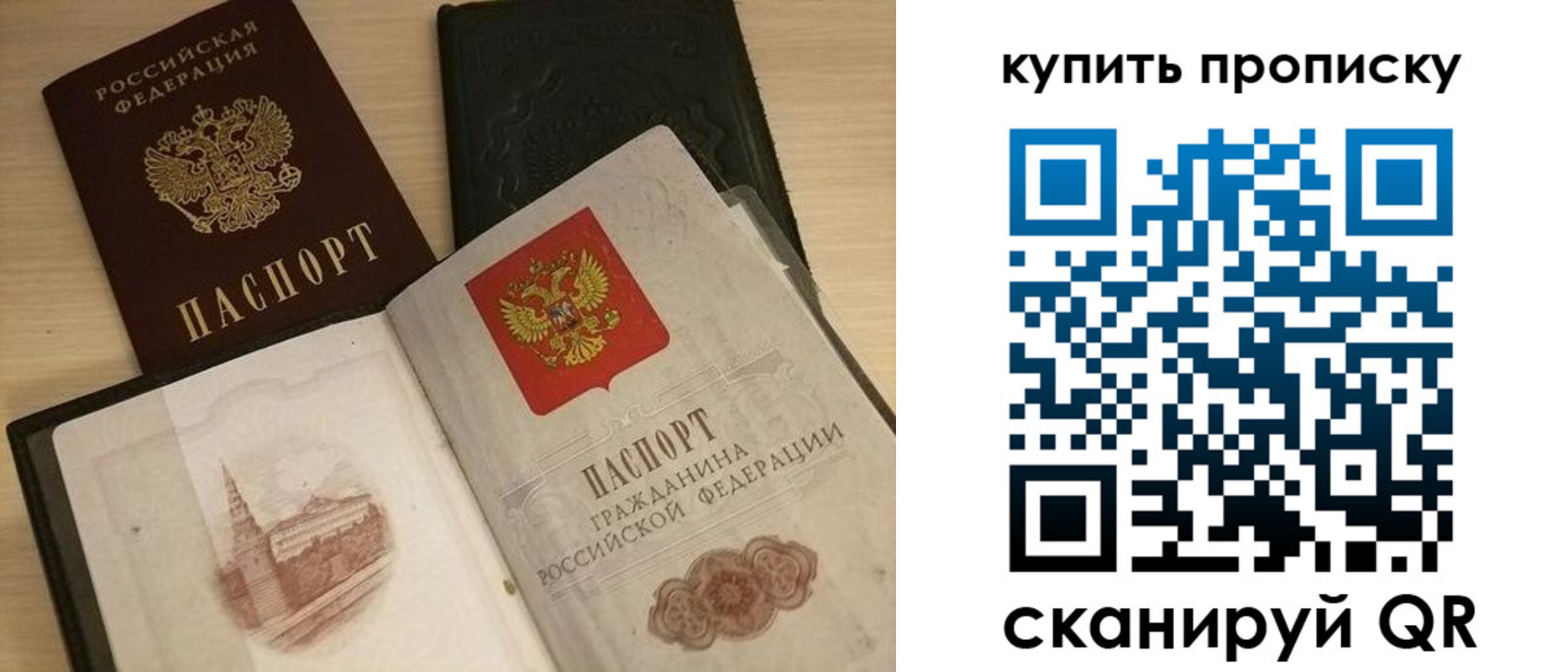 прописка гарантия в Луге